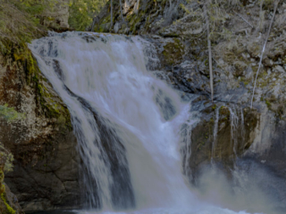 Barnes Creek Falls - Old Eyes