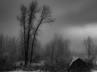 Cool December Evening